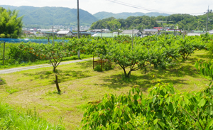 岡山県赤磐市風景